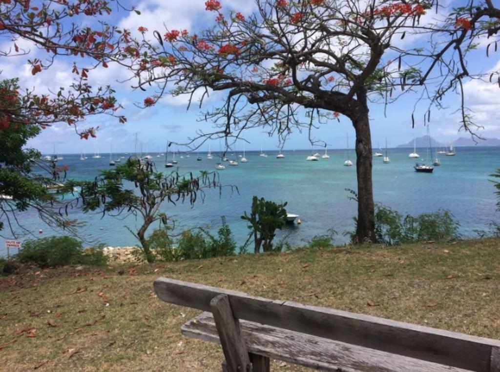 Holidays In Martinique - Ravenala Sainte-Anne Eksteriør billede